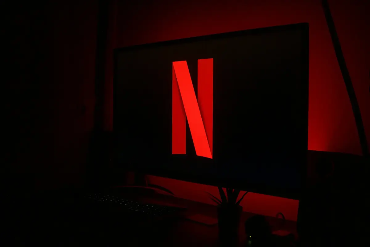 Netflix New N Icon