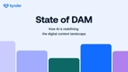 State of DAM 2025