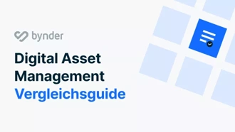 DAM Vergleichsguide
