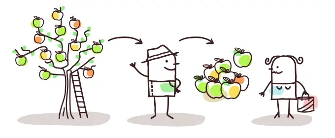 Blog Bynder Content 2019 November D2C Direct To Consumer Apples
