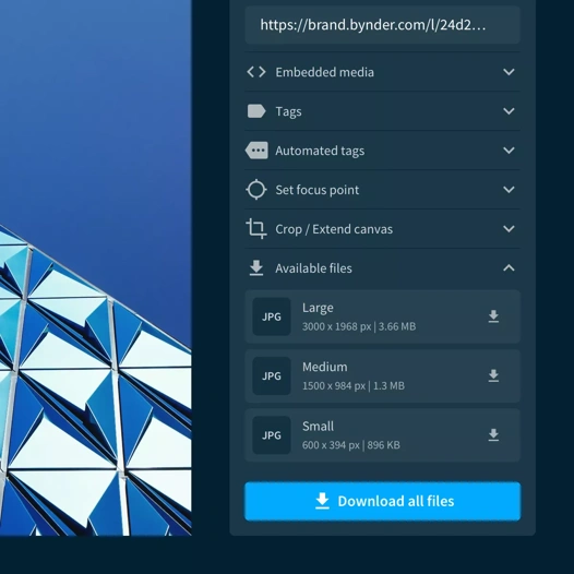 Download files in your desired format