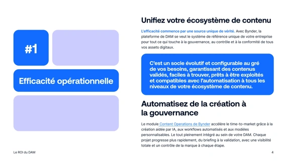 Quantifiez l'impact business du DAM