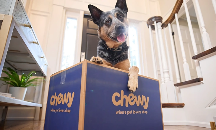 BSA 2025 Chewy Header v2