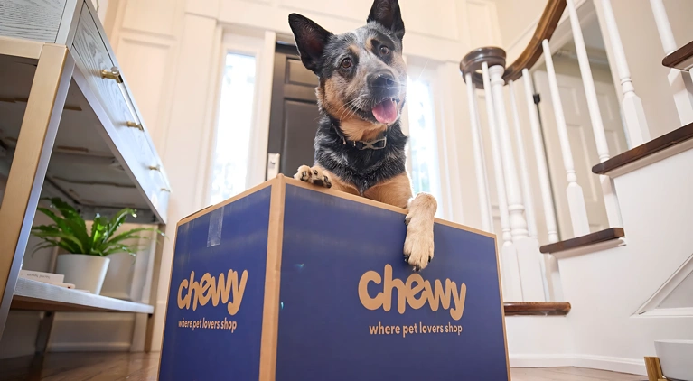 BSA 2025 Chewy Header v2