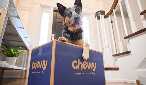 BSA 2025 Chewy Header v2