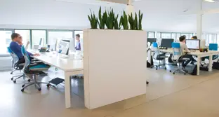 Wat is Bynder?