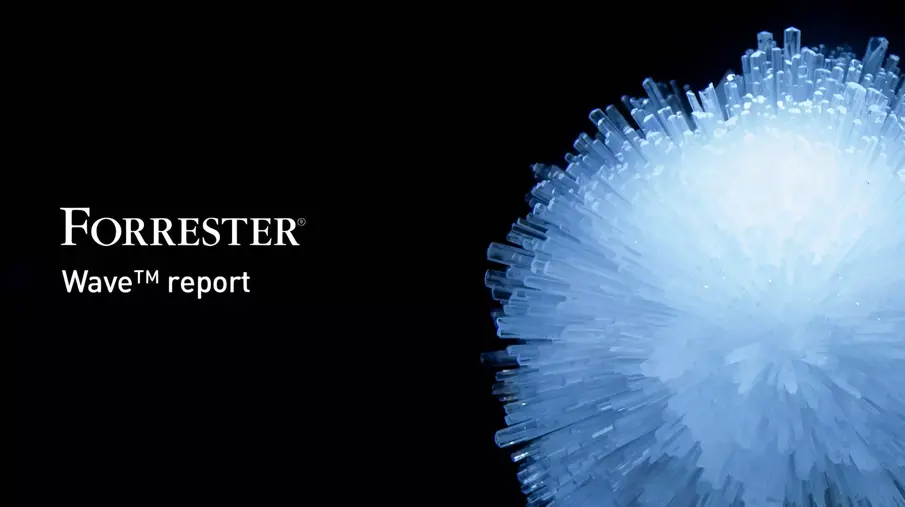 World-leading research firm Forrester names Bynder ‘Strong Performer’