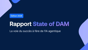 Rapport State of DAM ‘26