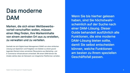 Vergleich verschiedener Funktionen und Lösungen für Digital Asset Management