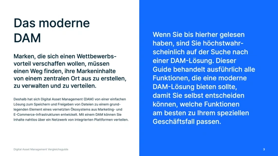 Vergleich verschiedener Funktionen und Lösungen für Digital Asset Management