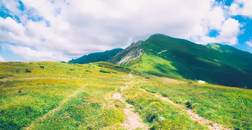 Why uncertainty can be your best asset