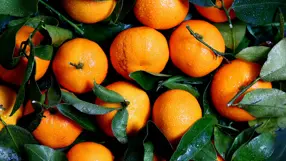Fanta Rebranding: gelungen oder durchgedreht?
