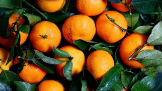 Fanta Rebranding: gelungen oder durchgedreht?
