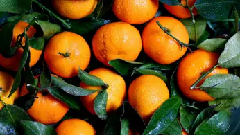 Fanta Rebranding: gelungen oder durchgedreht?