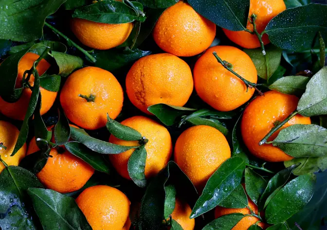 Fanta Rebranding: gelungen oder durchgedreht?
