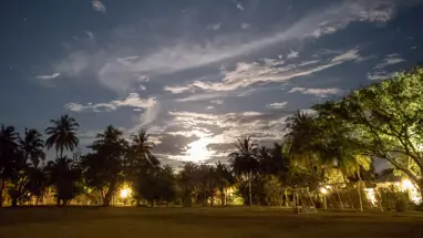The art of movement: Using cinemagraphs to increase engagement