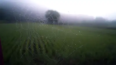 Het web als je verlengde desktop?