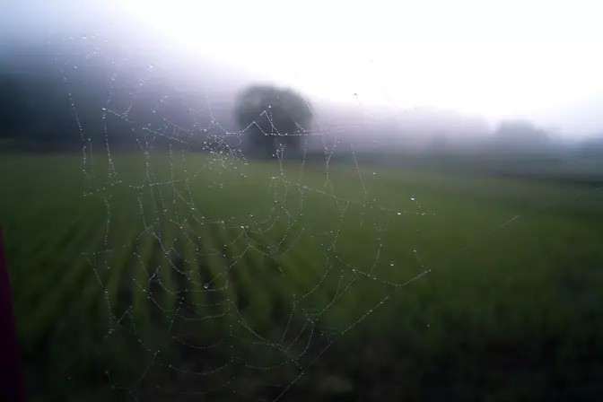 Het web als je verlengde desktop?