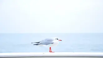 We zijn verhuisd!
