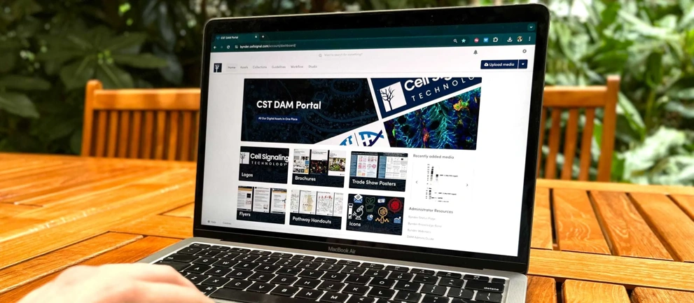 BSA Profile Cell Signaling Technology Image 1