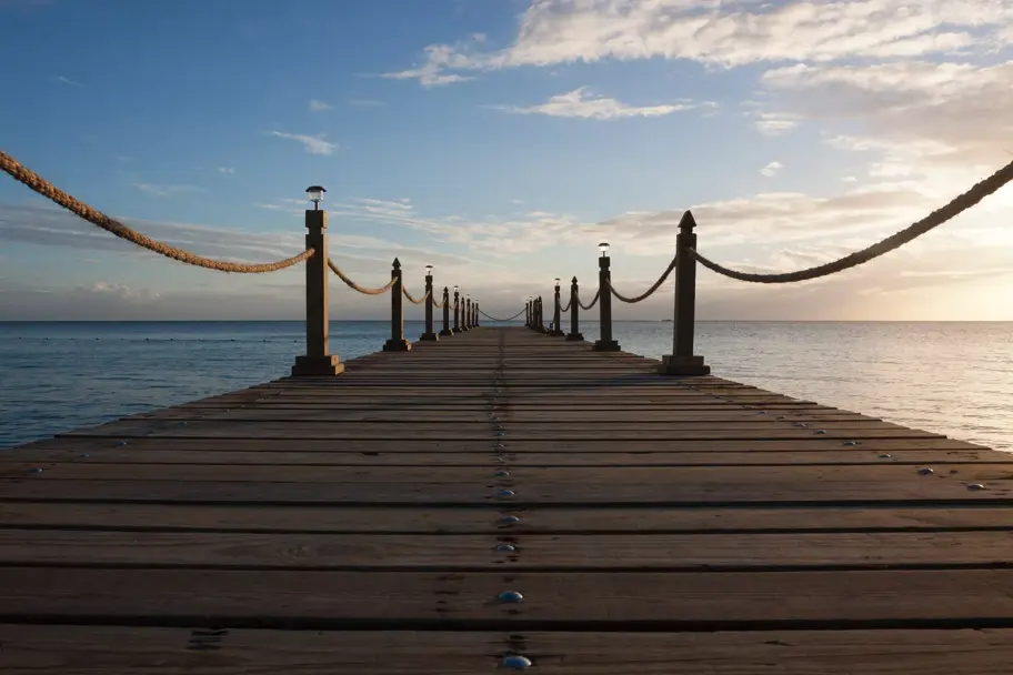 le Digital Asset Management sera mort !