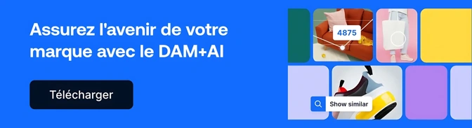Blog CTA FR DAM AI