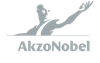 Logo Customer Gray AkzoNobel v2