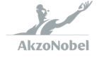 Logo Customer Gray AkzoNobel v2