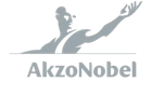 Logo Customer Gray AkzoNobel v2