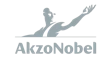 Logo Customer Gray AkzoNobel