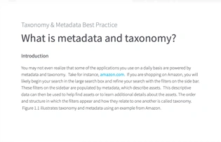 Taxonomy and metadata best practice for digital asset management