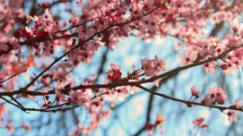 A day in the life of a growth hacker