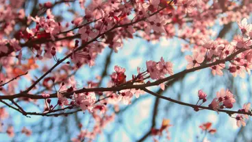 A day in the life of a growth hacker