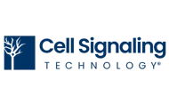 Cell Signaling Technology