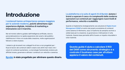Quantificare l’impatto sul business del DAM