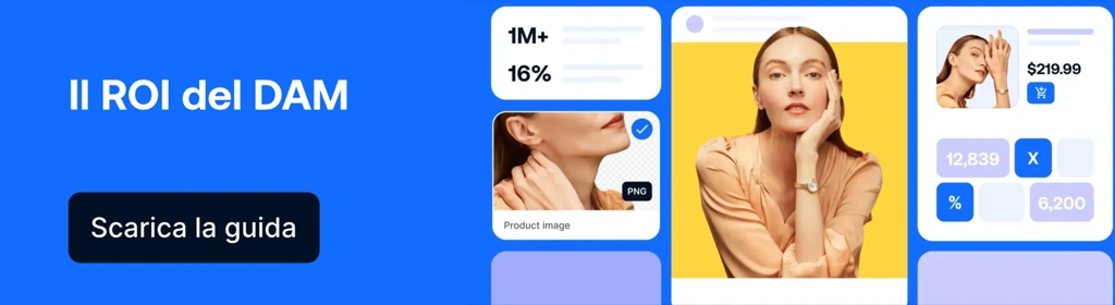 IT Blog CTA ROI Of DAM v2