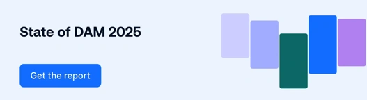 EN Blog CTA State Of Dam 2025 v2