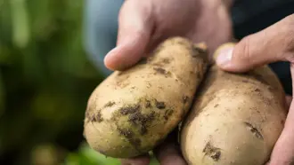 Simplot Customer story