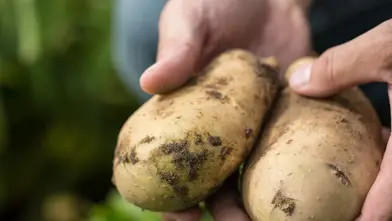 Simplot Customer story