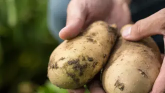 Simplot Customer story