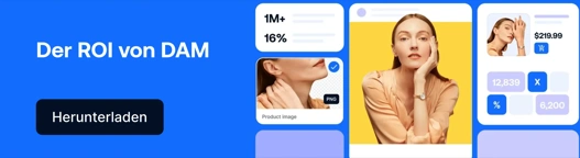 DE Blog CTA ROI Of DAM