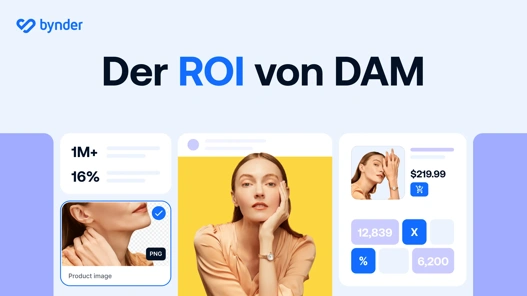 Den ROI von DAM nachweisen