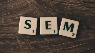 Digital Asset Management und SEM