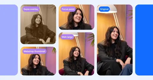 Top 6 list of photo management software in 2026