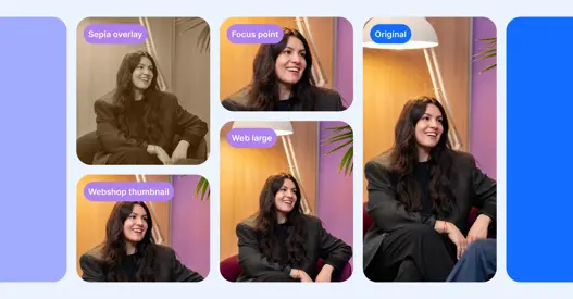 Top 6 list of photo management software in 2026