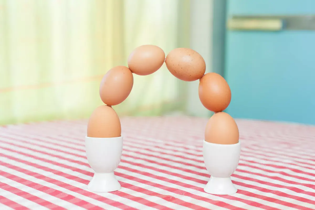 The Art of Organzing Eggs