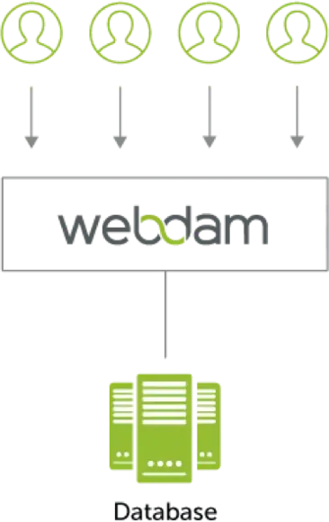 Grow and adapt with true multi-tenant architecture