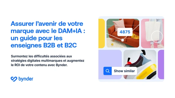 Assurer l'avenir de votre marque avec le DAM+IA : un&nbsp;guide pour les enseignes&nbsp;B2B et B2C