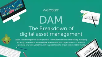 Digital asset management infographic