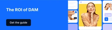 EN Blog CTA ROI Of DAM V3